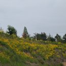 노후설계상담사 1급 과정 이미지