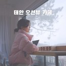태안 해수욕장 당일치기 바다 여행 파도리 카페 오션뷰 파파야 해식동굴 물때