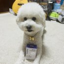 휴먼아이케어 이미지