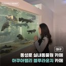 게코라운지 | [대구] 새로오픈한 동성로 실내 동물원 이색 카페 아쿠아밸리 블루라운지