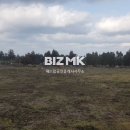 제주대지공인중개사사무소 이미지