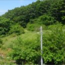 무릉도원면-17 이미지