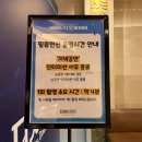 (공연) 시크릿 뮤지컬 <오늘 처음 만드는 뮤지컬> | [공연 후기] 2025년 뮤지컬 미세스 다웃파이어 후기 (feat. 1열 관람)