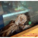 착한산곰장어 이미지