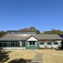 멍피스 | W. 16 제주 웨딩스냅 촬영 후기ㅣ피스피스픽ㅣ무르 스튜디오ㅣ하이재이ㅣ제제플라워