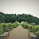 수성구보건소 이미지