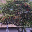 제주특별자치도지체장애인협회 서귀포시지회 이미지