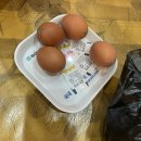 정원사우나 | [인천찜질방]인천정원해수피아24시해수사우나매점가격솔직후기불가마