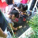 아담유치원 이미지