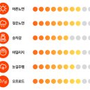 리더타이어 이미지