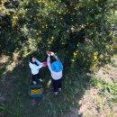 대청농장 이미지