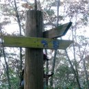 명동파크장 이미지