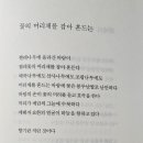 송은숙 이미지