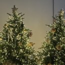 농업회사법인 짐오주식회사 | 대구 엑스코｜크리스마스페어 눈꽃마켓 다녀온 후기