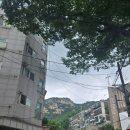 아트센터 나비 미술관 | 경복궁역 서촌 도심속 산책로, 겸재 정선 작품의 배경이었던 인왕산 자락 수성동 계곡 방문 후기