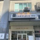 일산꽃집 평판 좋던 랩플레르 후기