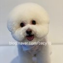 전설의 그루밍 이미지