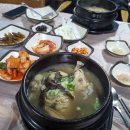 백송삼계탕 이미지