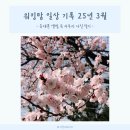 현대통상(주)농업회사법인 | 워킹맘 일상 기록 25년 3월 - 둘째 임신 22~26주