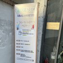 비둘기는멍청해보여 이미지