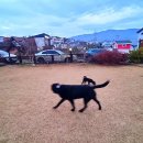 경주 수약국 이미지