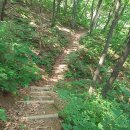 원주굽이길 원2코스 구학산둘레숲길 이미지