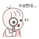 웰컴댕댕 이미지