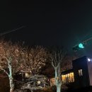 벚꽃로 | 서울벚꽃명소 장안벚꽃로 야경감상 후기 4.3 금요일 현재 개화 상황