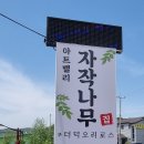 아트밸리자작나무 이미지