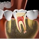 SM치과의원 이미지