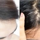 이지안헤어 이미지