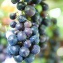 남가네 농장 이미지