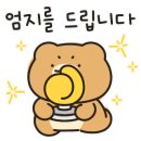 엠엠엠디자인스튜디오 이미지