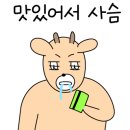 푸에르코 삼성