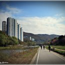탄천 이미지