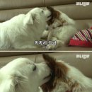 고속도로졸음쉼터 이미지