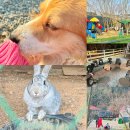 태안팜랜드 이미지