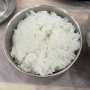 또바기회 | [부산 연산동 횟집] 회덮밥,물회와 매운탕 점심특선 먹으러 '또바기회' 내돈내산 후기