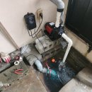 사파동350 이미지