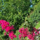 용비쉼터 이미지