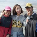 순천만 여행 이미지