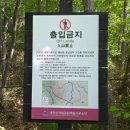 전남 장성 백암산 최단코스(구암사-구암사 갈림길-백학송-상왕봉-원점회귀)후기 [블랙야크 100대 명산]