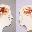 의대보청기 이미지