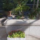 논현2동주민센터 이미지