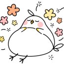 연우롭다 네이버블로그