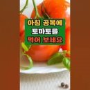 아침에 먹는 토마토 장점 아침 공복 토마토 현명하게 먹는방법 이미지