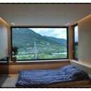 코코앤망고 이미지