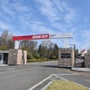 시청별관앞 꽃보라동산 이미지