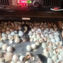 청계슈퍼 이미지