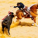 누에보 | 스페인 론다 여행 | 누에보다리 협곡 후기 + 신혼여행 추천 이유